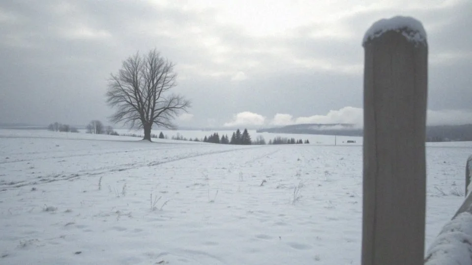 Co wiemy o feriach zimowych w kujawsko-pomorskim?