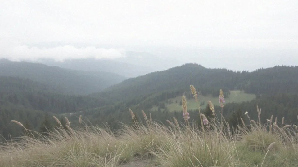 Jakie są najwyższe szczyty w okolicy Krynicy?