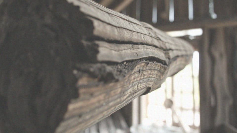 Kiedy utwardzanie spróchniałego drewna jest skuteczne?