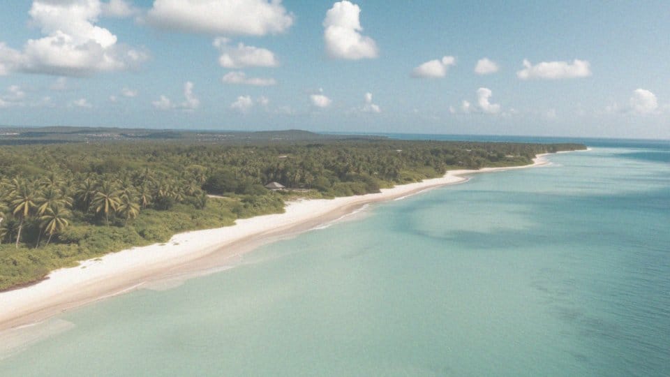 Jaka jest powierzchnia Zanzibaru?