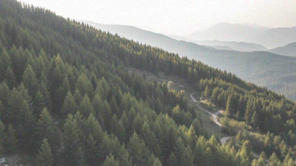 Co oferuje Beskid Sądecki turystom?