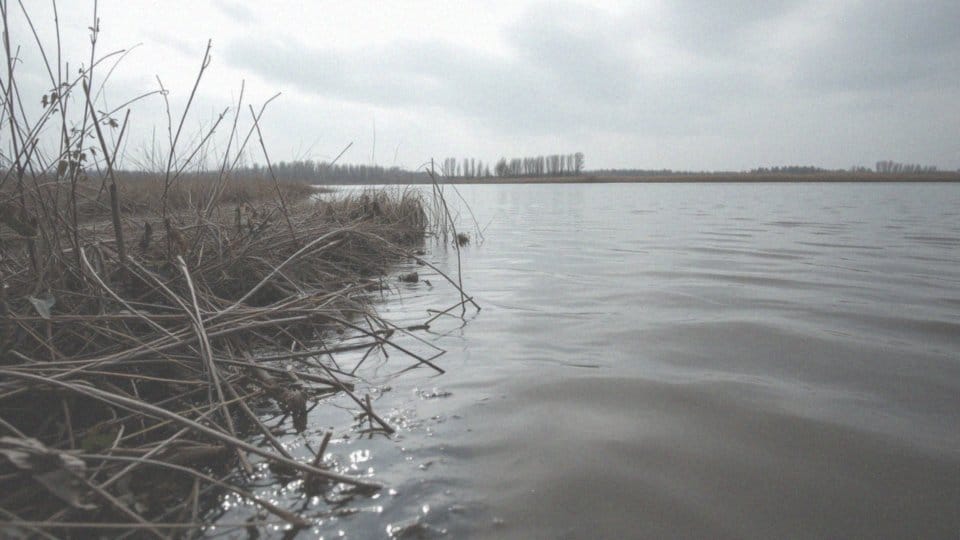 Jakie ryzyko ponoszą liny podczas tarła?