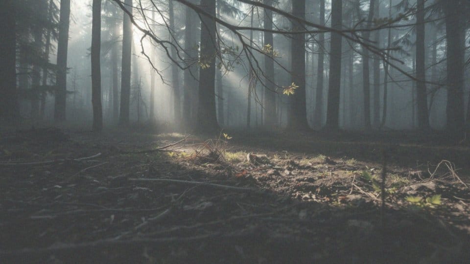 Jak motywacja zwierzęcia wpływa na wysokość skoku?