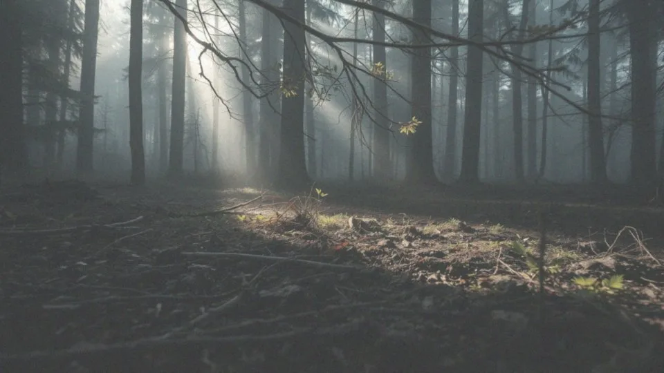 Jak motywacja zwierzęcia wpływa na wysokość skoku?