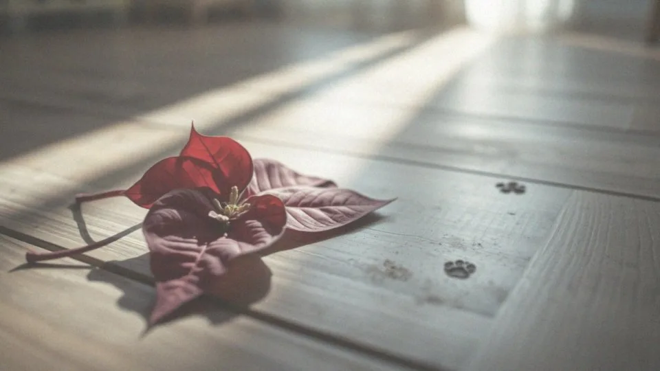 Czy gwiazda betlejemska jest trująca dla psa? Sprawdź objawy i zagrożenia