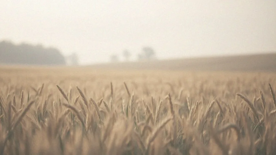 Czy nowotwór to rak? Wyjaśniamy kluczowe różnice