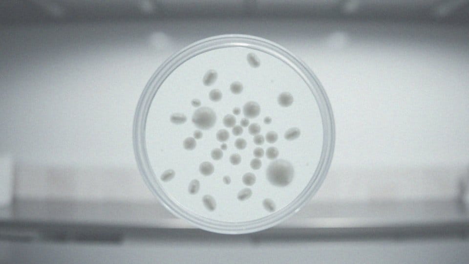 Czy rak jest zaraźliwy? Fakty i mity na temat nowotworów