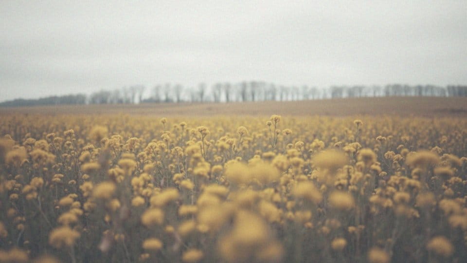 Rak złośliwy – ile życia można zyskać dzięki wczesnej diagnostyce?