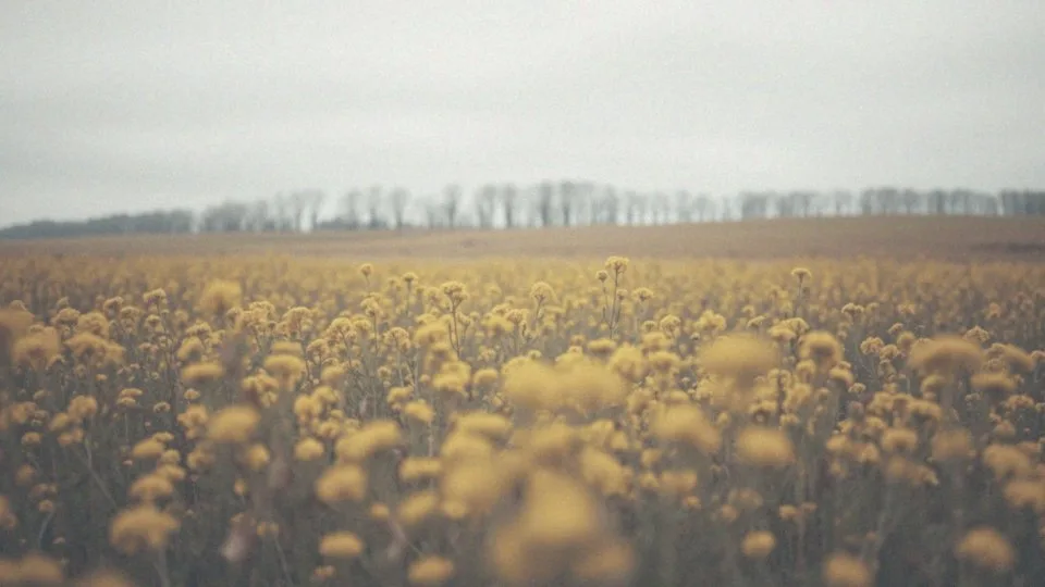 Rak złośliwy – ile życia można zyskać dzięki wczesnej diagnostyce?