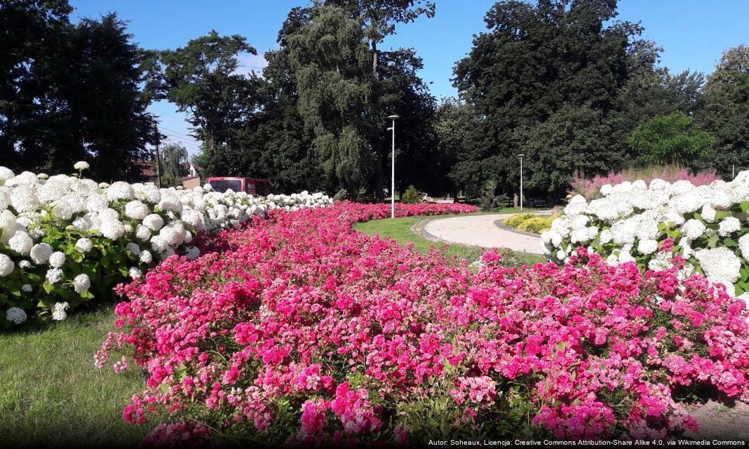 IZambr w Lokalny Serwis Miasta Zambr w IZambr w Lokalny Serwis Miasta Zambr w