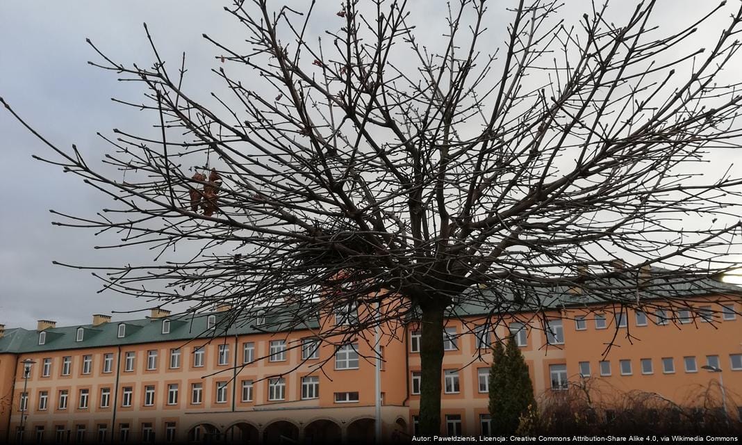 IZambr w Lokalny Serwis Miasta Zambr w IZambr w Lokalny Serwis Miasta Zambr w